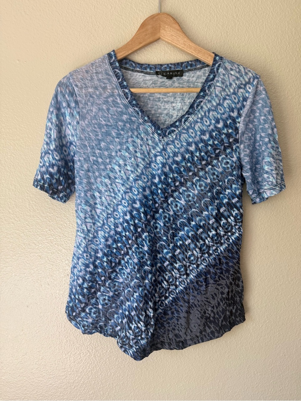 Carine Patterned Blue V-Neck Short Sleeve Top